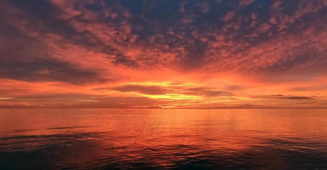 Firesky Glamping Ocam Ocam Beach New Busuanga Eksteriør billede