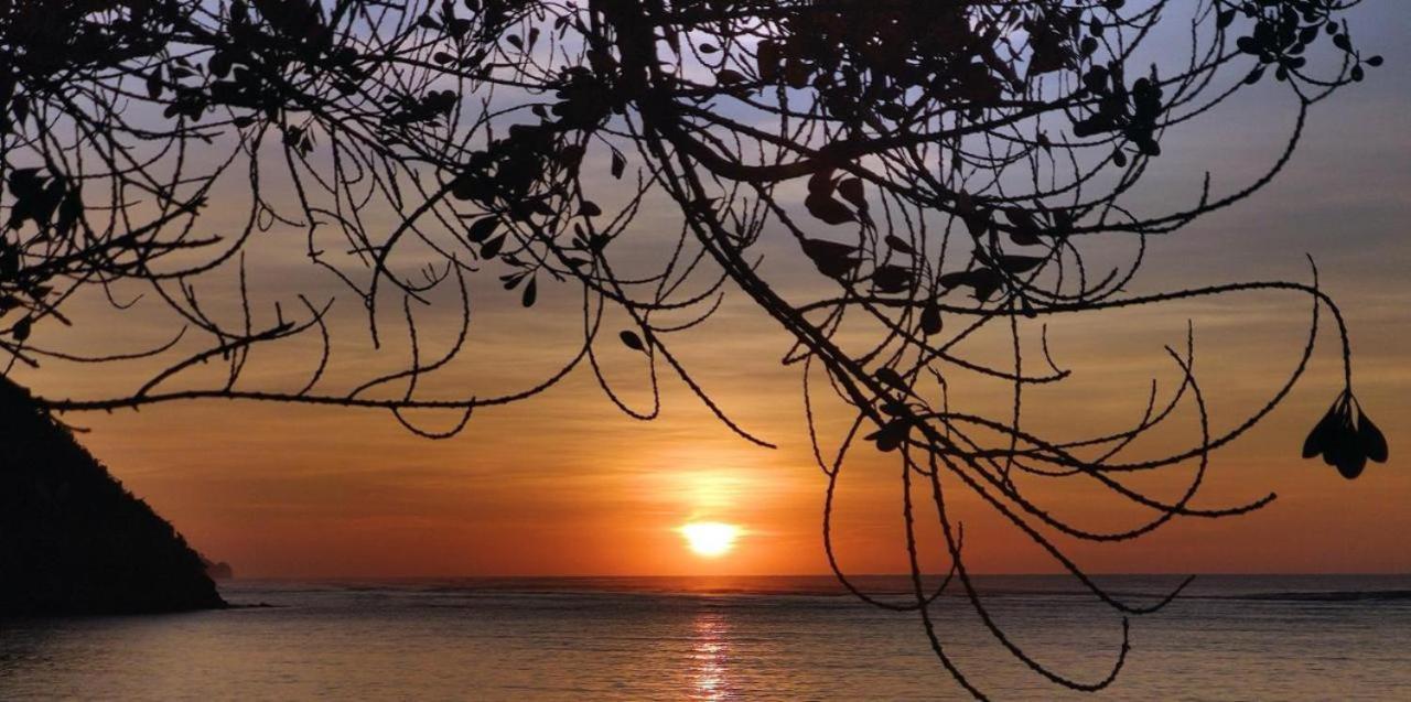 Firesky Glamping Ocam Ocam Beach New Busuanga Eksteriør billede
