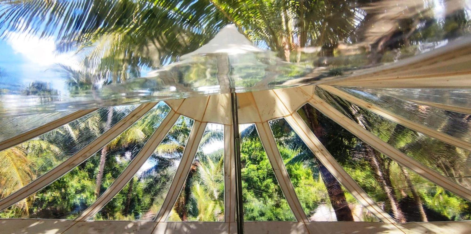 Firesky Glamping Ocam Ocam Beach New Busuanga Eksteriør billede